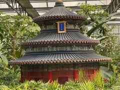 -南宫五洲植物乐园