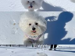 -太子岭滑雪场