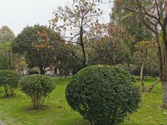 -南京中国近代史遗址博物馆(南京总统府)