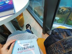 -广州市白云区图书馆