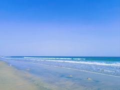 -日照海滨国家森林公园