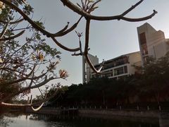 -海南热带海洋学院(三亚校区)
