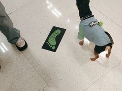 -帕帕拉兹宠物(亚洲旗舰店)