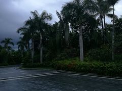 -西双版纳融创皇冠假日度假酒店