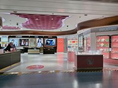 -日上免税行(浦东机场五店)