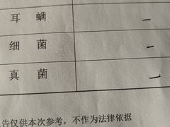 -乖乖宠物医院·猫科·急重症中心(车站北路分院)