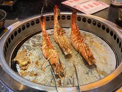 -熊出没日本烧肉放题