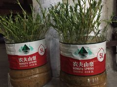 -河记肠粉店