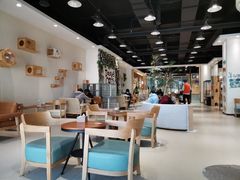 大堂-藏猫猫咖啡主题馆(中央大道店)