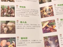 -太婆天府山珍酒楼(亚运村店)