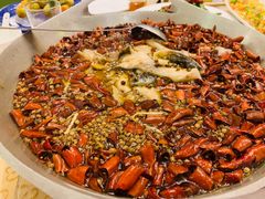 -大鸭梨烤鸭(左家庄店)