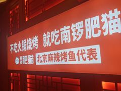 -南锣肥猫·麻辣烤鱼·16年现烤现卖(财富购物中心店)