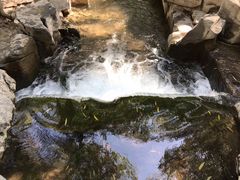 -百脉泉景区