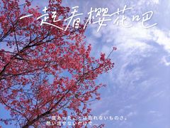 -狐尾山公园