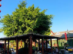 -田州古城
