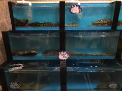 -牟传仁饭庄(星海店)