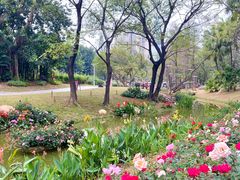 -人民公园(罗湖区)