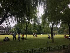 -柳浪闻莺公园