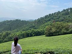 -敬亭山风景名胜区