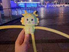 -海底捞火锅(正大乐城店)