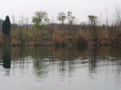 -仙海旅游度假区