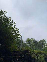 -安琪朵朵独栋花园月子中心