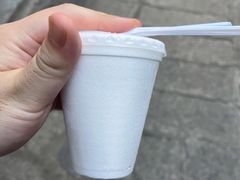 -洪馨椰子