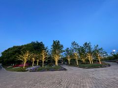 -春花秋色城市公园