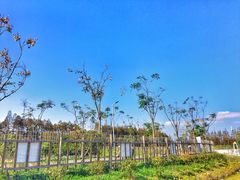 景点-上海长兴岛郊野公园