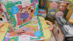 -玩具反斗城(北京芳圆里店)