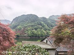 -四明山国家森林公园
