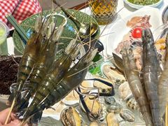 -Thai Basil罗勒叶泰式餐厅(时代天街店)