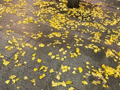 -BHC炸鸡(明洞总店)