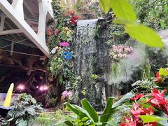 -正佳雨林生态植物园