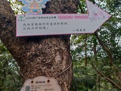 -广州市白云山风景名胜区