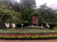 -广州白江湖森林公园