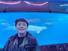 -海合安成都极地海洋公园