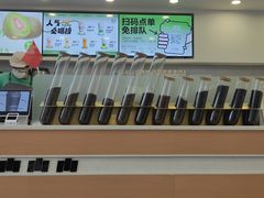 -雾与山茶(大禹城店)