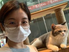 -more than meow吴止猫主题餐厅(承德 中船汇店)