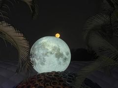 -观澜湖生态运动公社