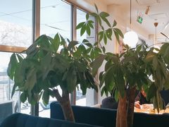 -花舍·新派粤菜·西餐·下午茶(亚运村·鸟巢店)