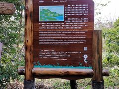 -华侨城湿地公园