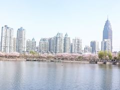 -西北湖绿化广场