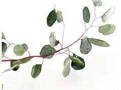 -八哥美术·成人美术画室(总校区)