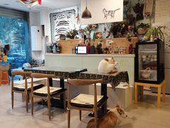 -平行世界·猫咖(首经贸店)
