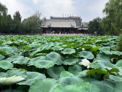 -莲池书院博物馆