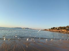 -青岛第三海水浴场