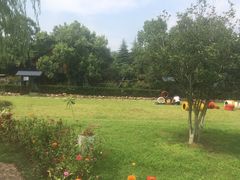 -陶祖圣境风景区