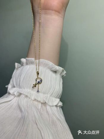 很喜欢钻石小鸟这款星座系列的项链～正好女朋友又是水瓶