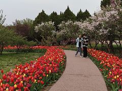 -石家庄市植物园